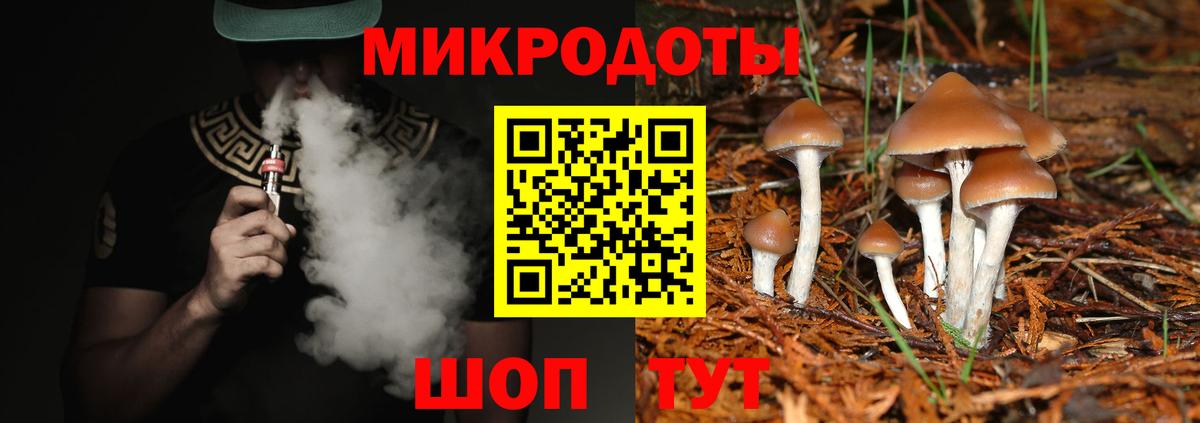 Котовск  Псилоцибиновые грибы Cubensis  Вход с VPN 
